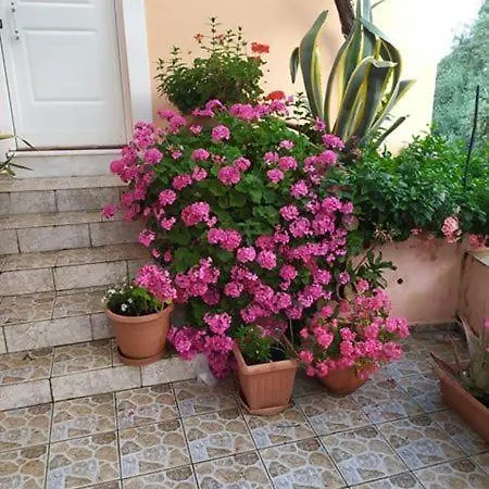 Garden Of Olive Trees Domek letniskowy
