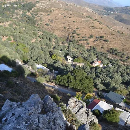 Garden Of Olive Trees Cabană