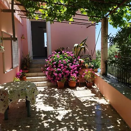 Garden Of Olive Trees